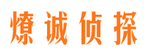 若尔盖侦探